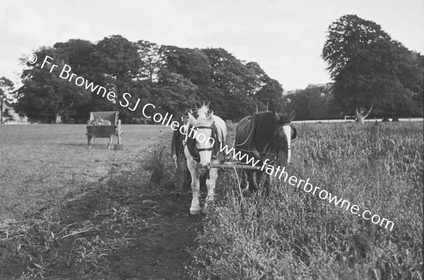 MEN WORKING IN FIELD